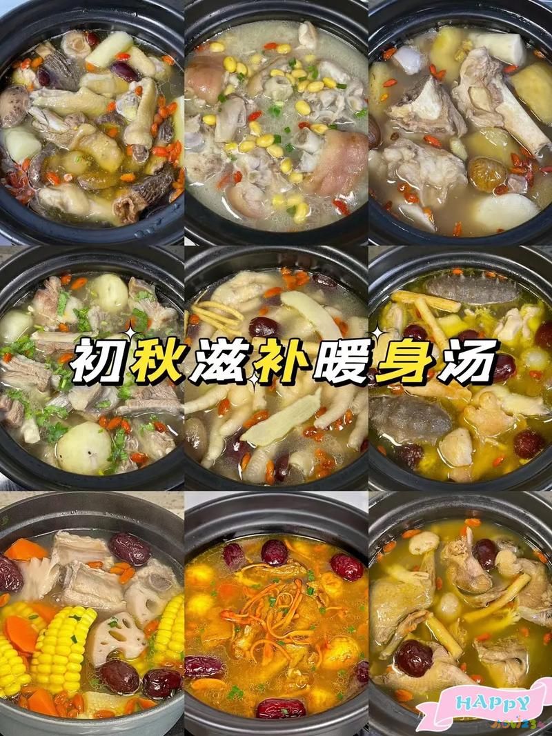 養生湯_養生湯食譜100種做法大全_養生湯煲湯食譜