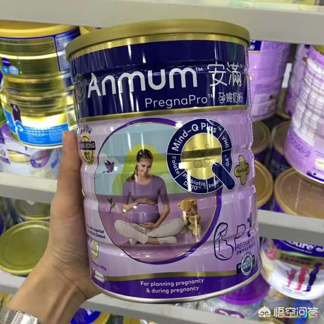 十大孕婦奶粉品牌（孕婦奶粉品牌十大排行榜）-第1張圖片