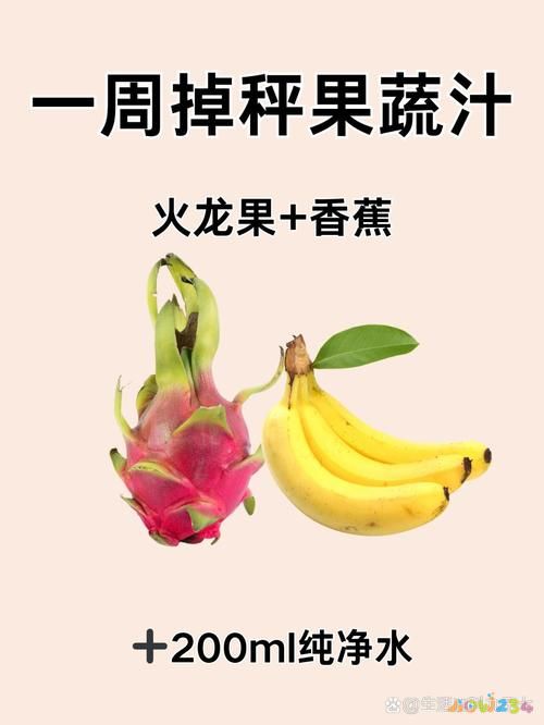 蔬菜汁的做法_好吃的蔬菜汁的做法大全_蔬菜汁菜譜