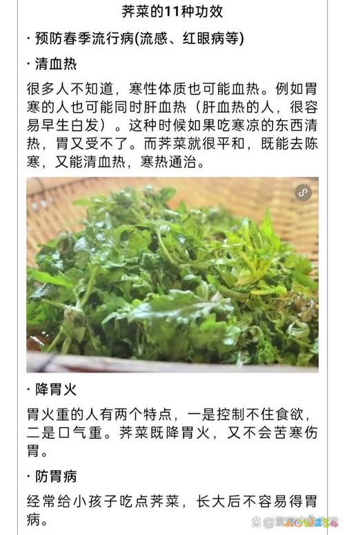 野菜的做法_野菜做法大全家常菜_木蘭芽野菜做法