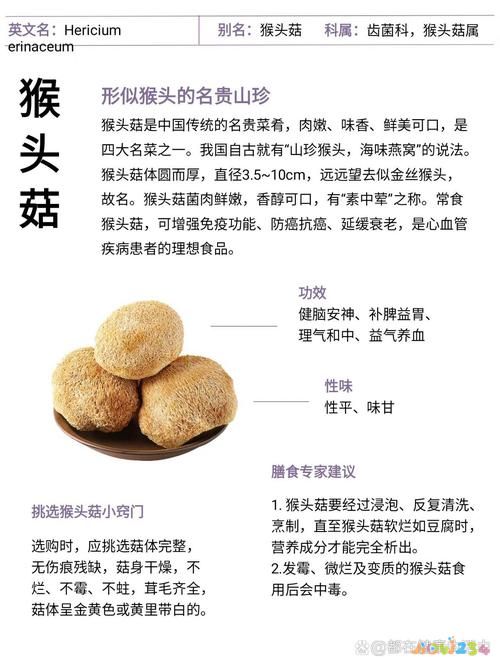 猴頭干蘑菇怎么做_干猴頭菇的做法_干猴頭菇怎么做好吃視頻