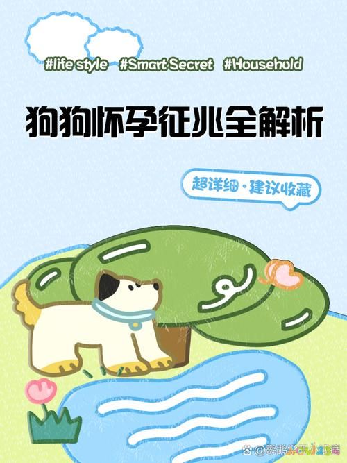 孕婦夢見狗一定生女孩嗎準嗎_孕婦夢見狗狗是男孩還是女孩_孕婦夢見狗