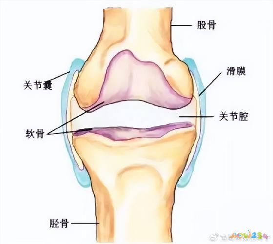 膝蓋疼運動過度_運動導致的膝蓋疼痛_運動的膝蓋疼還能運動嗎
